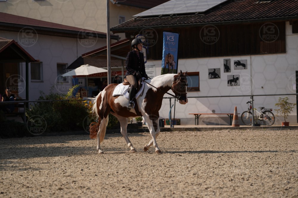 s_A_908952.JPG